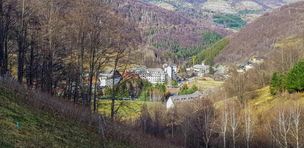 Apartman Cvejic - Suncani Apartmani Brzece Bagian luar foto