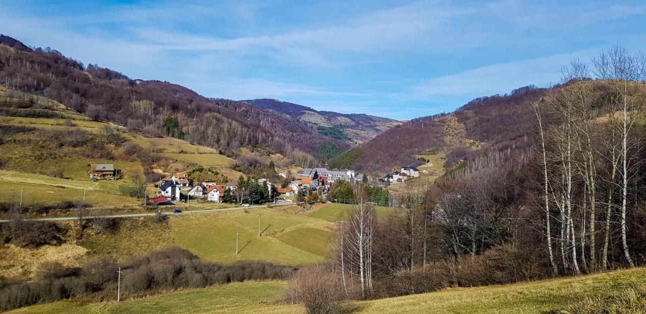 Apartman Cvejic - Suncani Apartmani Brzece Bagian luar foto