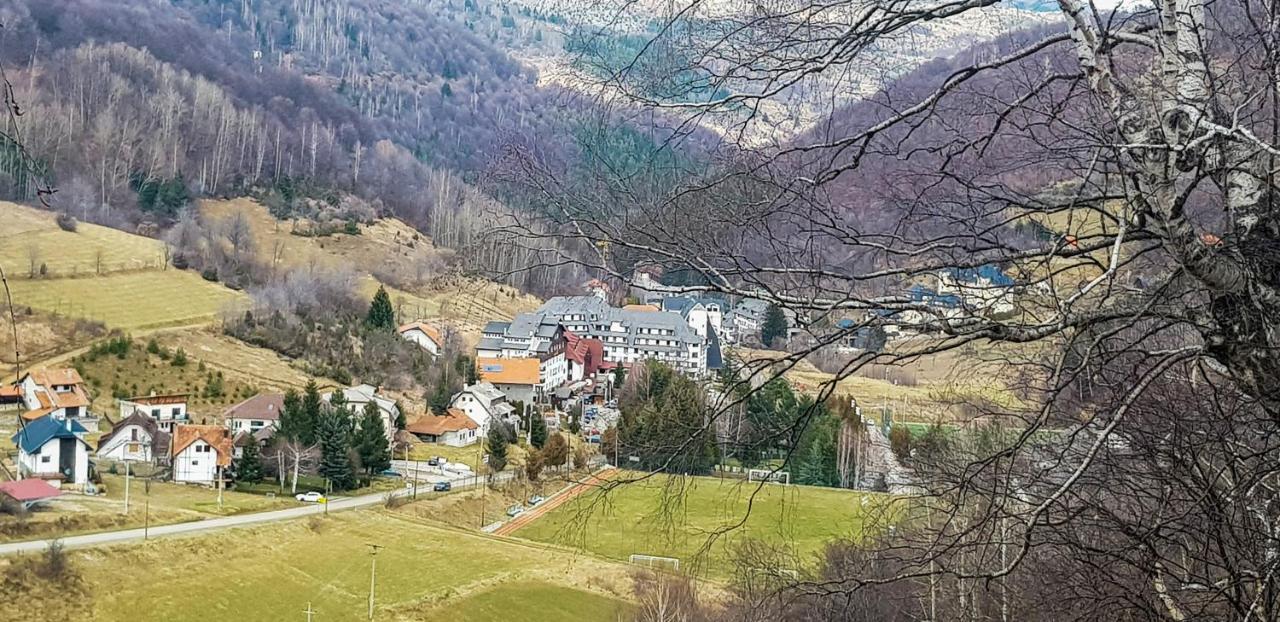 Apartman Cvejic - Suncani Apartmani Brzece Bagian luar foto